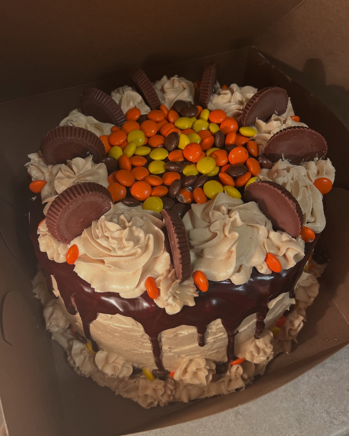 Gâteau Hibakes au chocolat vu du dessus